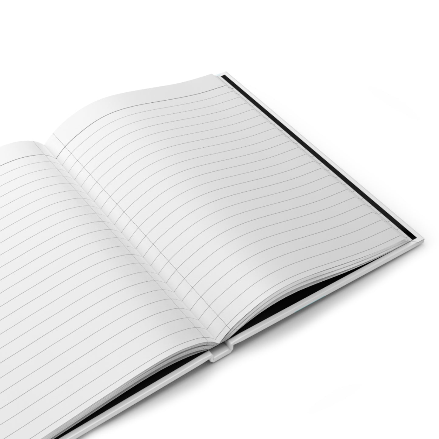 Money Journal